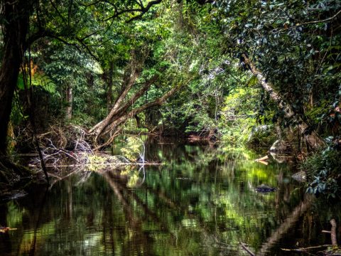 Perspectives / Professor warns not to endanger World Heritage area douglas news network