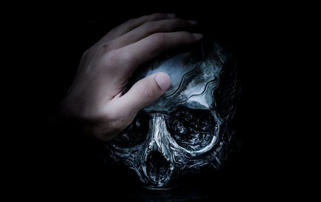 douglas news network