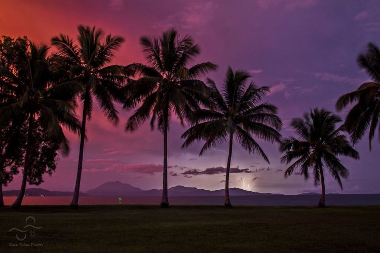 Tourism / COVID-19 recovery update