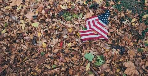 Dr Doug Quarry / We watch and we learn as the US “opens up” douglas news network