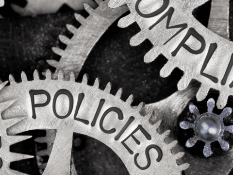 douglas news network