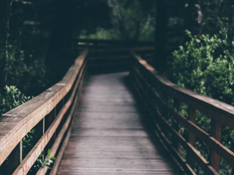 Perspectives / If everyone jumped off a bridge, would you? douglas news network