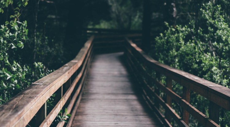 douglas news network