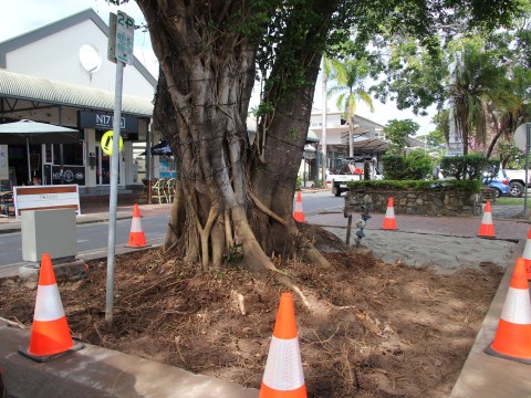 Ahoy there / Macrossan Street garden beds begin to take shape