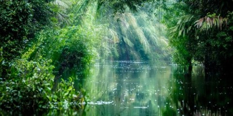 Perspectives / What is the best option for Daintree power ? douglas news network