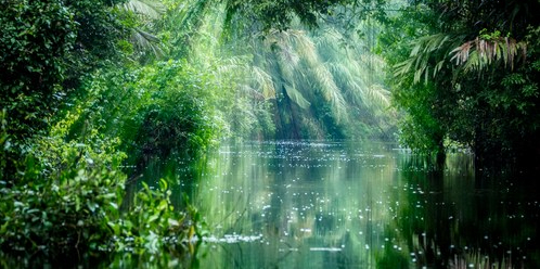 douglas news network