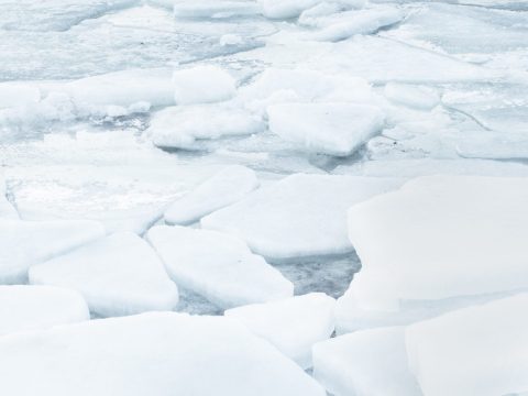 Breaking News / Cairns Regional Council Freezes Fees and Charges douglas shire rates freeze