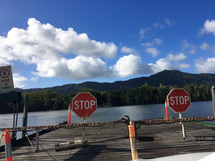 daintree ferry tender