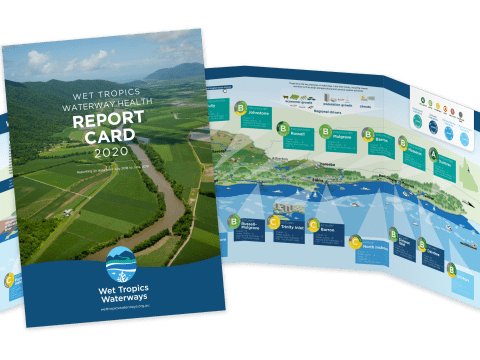 Environment / Waterways ‘good’ despite record-breaking weather