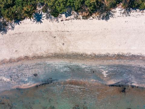 Perspectives / Why does the Daintree Coast still need saving? save the daintree