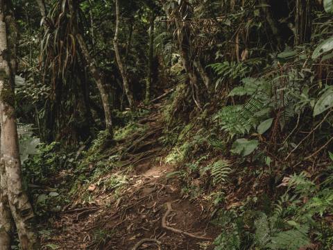 Environment / Carbon neutral, Reef Safe Initiative back on track following land sale