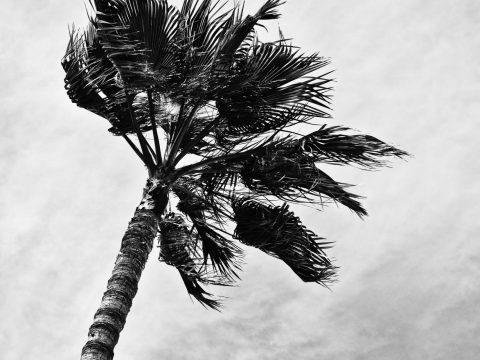 Local Sport / United Dragons battle the elements in a raucous game of Friday footy port douglas news