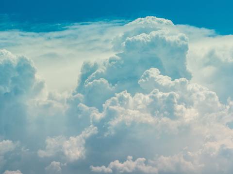 PERSPECTIVES / Daintree Interdependence