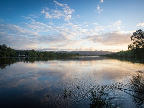 daintree river