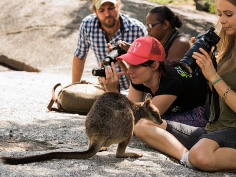 Competition / Aspiring teen videographers are invited by Terrain to be game changers