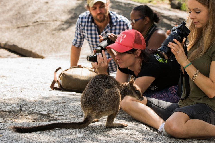 Competition / Aspiring teen videographers are invited by Terrain to be game changers