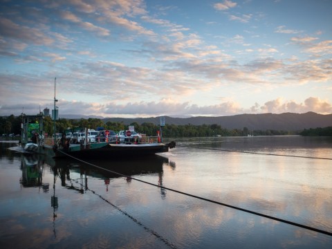 Daintree Ferry Priority Lane Will Open For Easter Holidays daintree river traffic queues