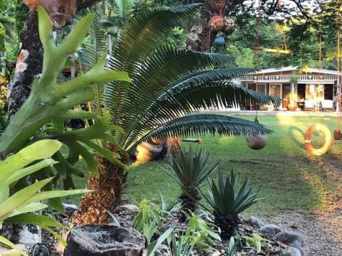 CONVERSATIONS / Tina Gonsalves from Artist Houses artist houses wonga beach