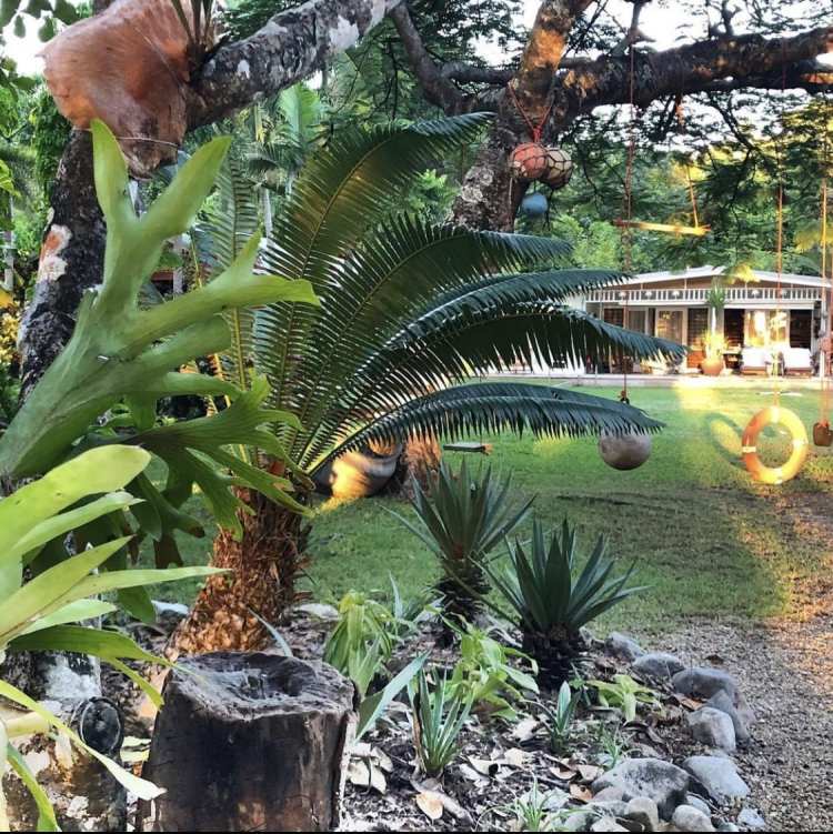 artist houses wonga beach