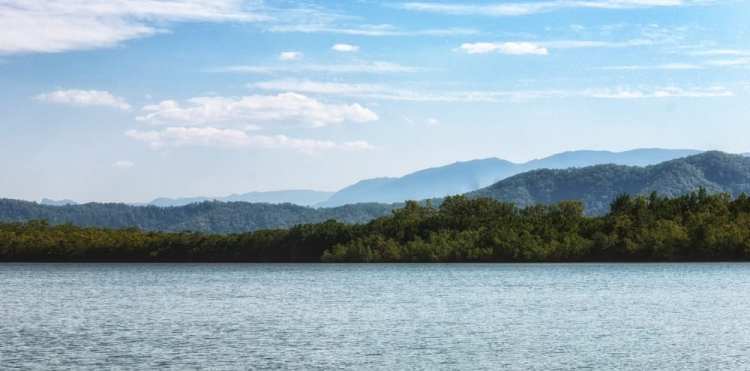Daintree River Crossing Update / Notice Of Special Council Meeting