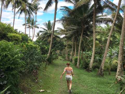 Open Gardens / Everyday gardens by everyday people