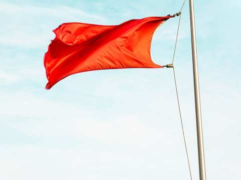 Letter to the Editor / The Ethics of DSC’s Daintree Survey