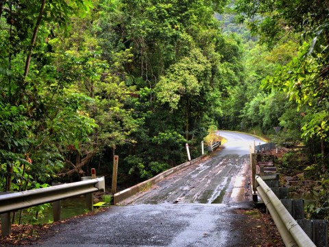 Daintree News/ Residents and businesses to receive power rebate