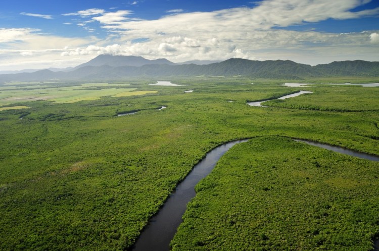 Daintree River Crossing / Government has heard nothing of Council expecting them to fund a Daintree bridge daintree river crossing options paper