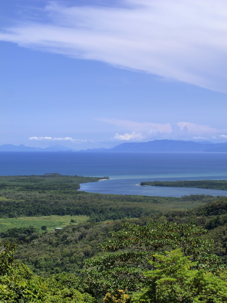daintree river crossing options
