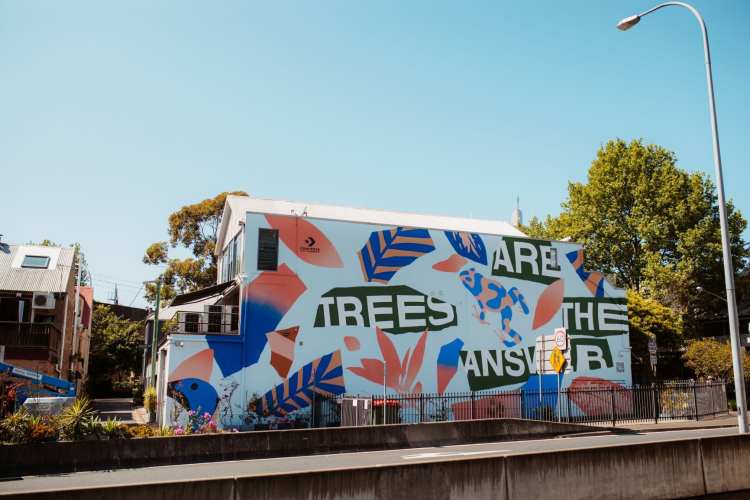 Environment / Rainforest Rescue and Converse join forces in Sydney’s latest sustainable public art project