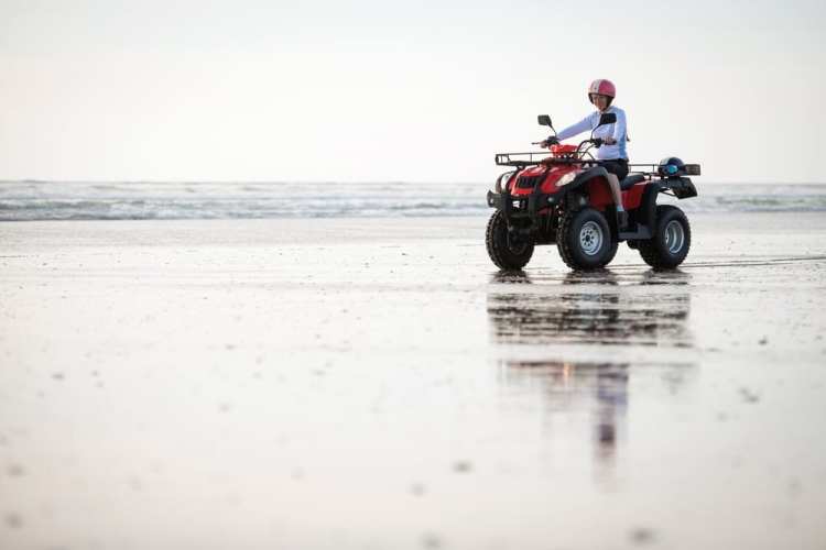 wonga bech foreshore management