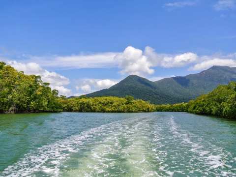 HISTORY / Boating on the Daintree River
