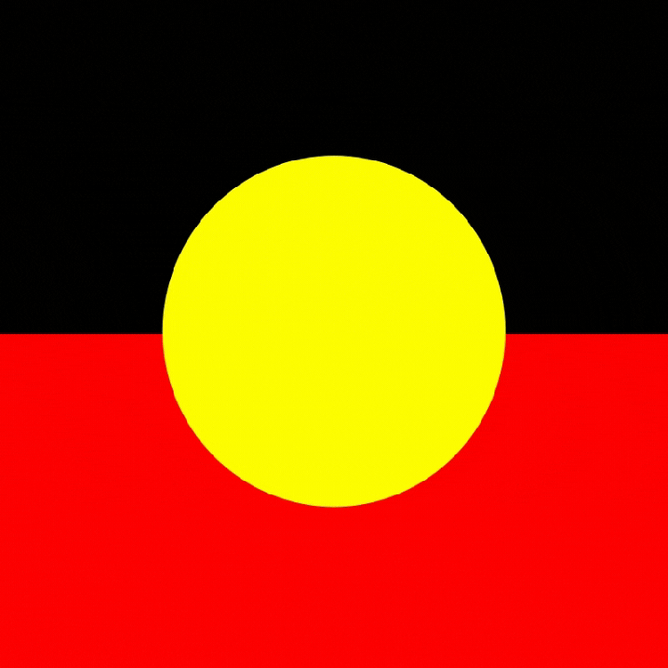 First Nations Members Make History at Parliament House