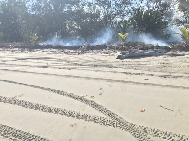 Letter to the Editor / Threats to nesting birds at northern end of Wonga Beach