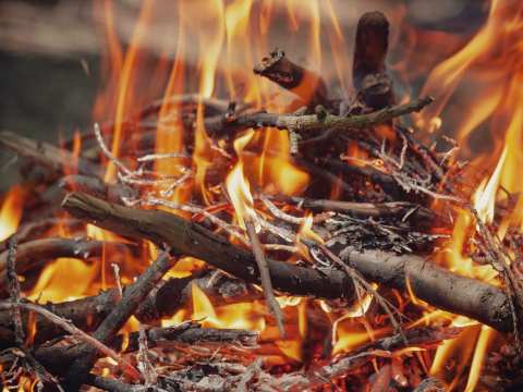 Funding to share Indigenous knowledge / Fire and land management