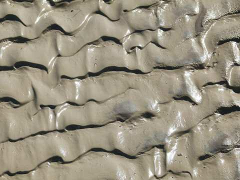 FNQ Floods feature in a new community exhibition launching tomorrow