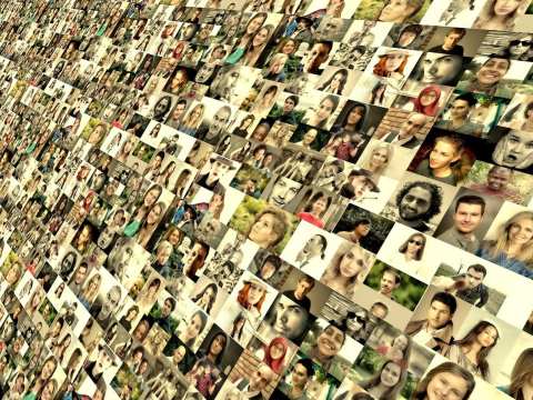 Crispin Hull / Polls