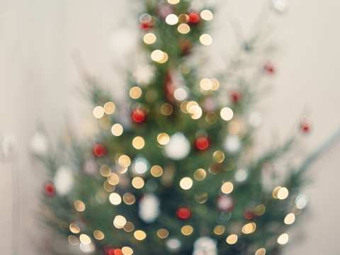 Douglas Shire’s Christmas Calendar Unveiled