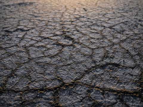 CLIMATE REPORT / Regenerative Farming & The Significance of Soil