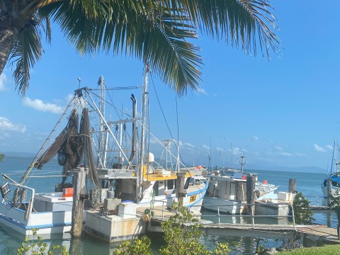 NEWS IN 5 / Sunday February 7, 2021