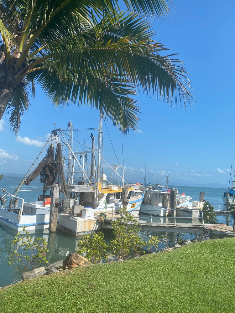 NEWS IN 5 / Sunday February 7, 2021