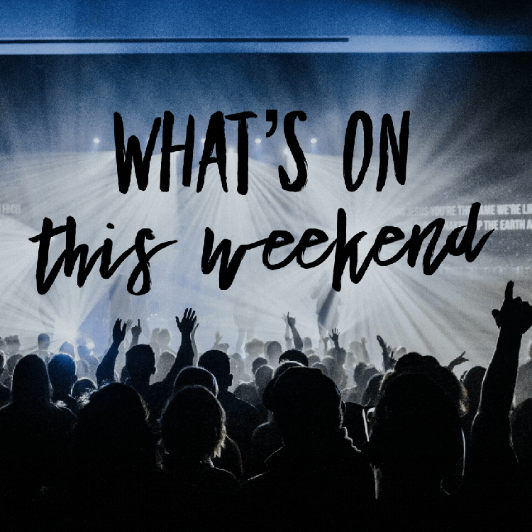 whats on in port douglas