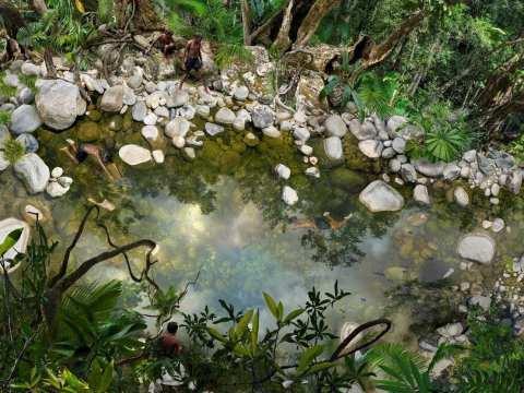 Silky Oaks Lodge Refurbishment Works Commence silky oaks mossman