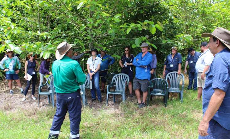 Report / Regenerative Cane Farming Forum Cairns February 2021