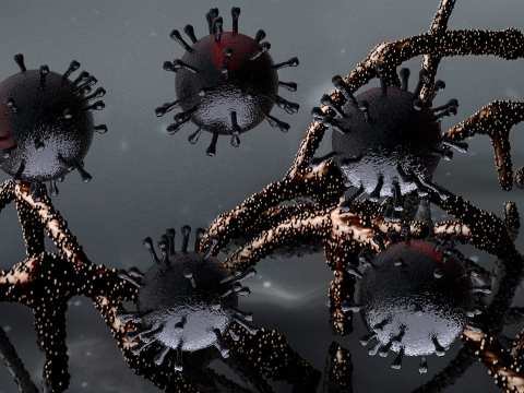 Review / The Latest Updates on COVID-19 Variants