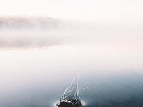 OPINION / Part 2 Breaking Down the Douglas Shire Council’s Draft Economic Development Plan