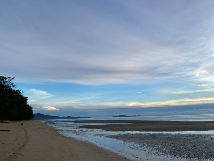 DOUGLAS SHIRE COUNCIL / Wonga Beach Management Plan
