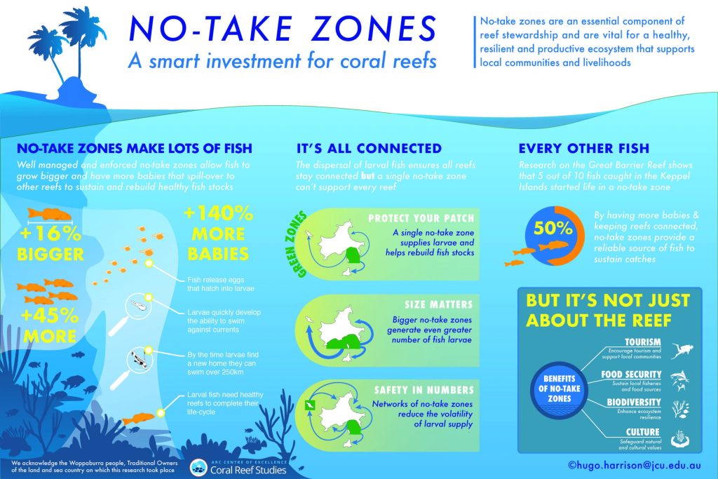 No-take marine reserves generate many benefits to ocean ecosystems and coastal communities. Inside reserves, coral grouper are bigger and more abundant, which generates important larval subsidies beyond their boundaries to sustain fish stocks. Connectivity across marine seascapes is highly variable but a network of reserves can create a safety net to ensure reliable replenishment of fish stocks. In the Keppel Island of the Great Barrier Reef, reserves generate half of all fish on the reef.