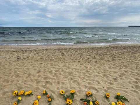 toyah cordingley extradition