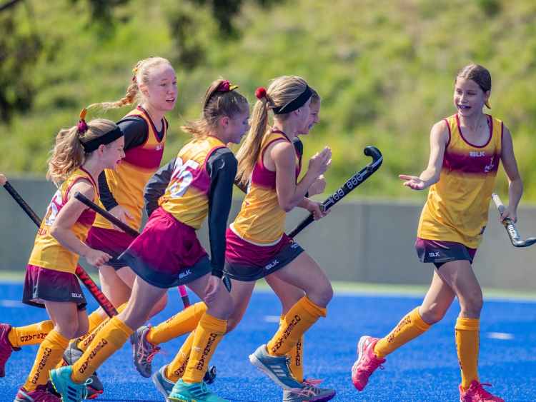 Douglas Hockey Juniors Plan to Compete in State Championships douglas hockey juniors